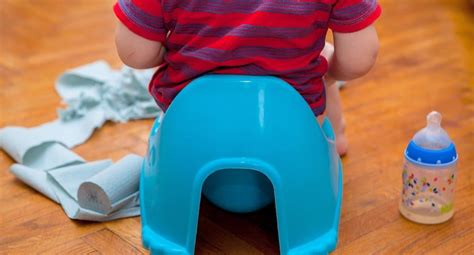Potty Training 101 Everything You Need To Start Potty Training Your