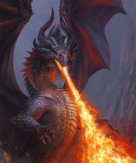 Top 999 Fire Dragon Wallpaper Full Hd 4k Free To Use