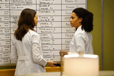 Greys Anatomy Season 13 Episode 22 Review Leave It