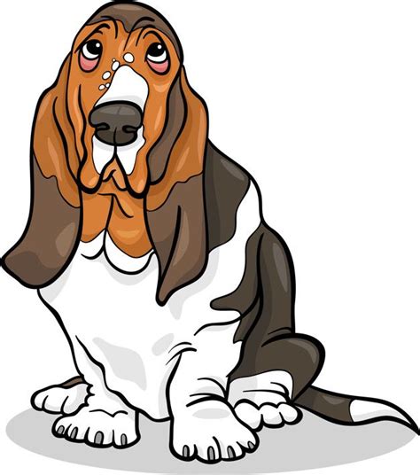 Ilustración De Dibujos Animados De Perro Basset Hound Vector Premium