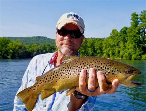 Arkansas White River Fly Fishing Guide The Reel Fly Guy