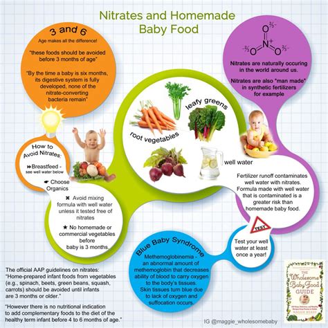 Side effects include nausea, headache, and hot flashes. Nitrates - Carrots & The Nitrates and the Homemade Baby ...