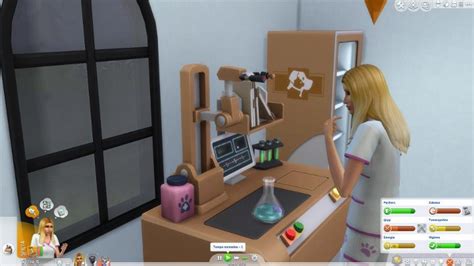 The Sims 4 Cats And Dogs Vet Clinic How To Start