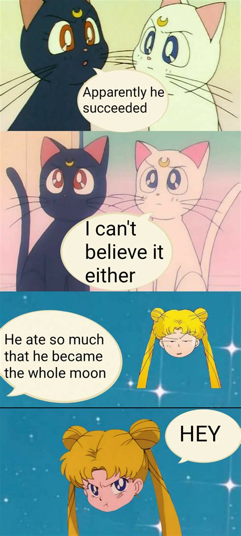 Usagi Ate Too Much Sailor Moon Meme Rsailormoon