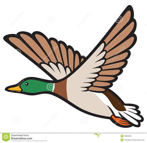 Free Flying Duck Cliparts Download Free Flying Duck Cliparts Png