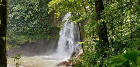 Carbet Falls Les Chutes Du Carbet Parc National 2020 Lo Que Se
