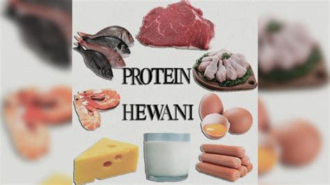 Daftar makanan tinggi protein nabati untuk para vegetarian dan vegan. Kenali Makanan yang Mengandung Protein Hewani Tinggi ...