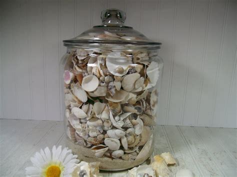 Divine Orders Vintage Shop At Etsy — Huge Glass Jar Filled With Sea Shells Collection