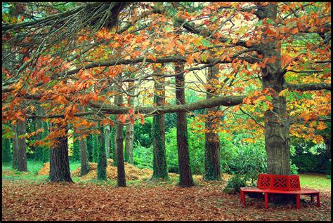autumn, Park, Bench Wallpapers HD / Desktop and Mobile Backgrounds