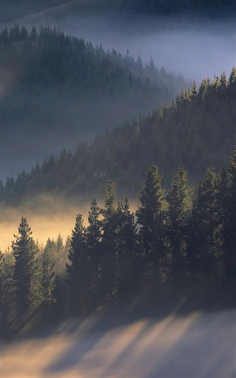 800x1280 Early Morning Sun Rays Over Trees Mountains 4k Nexus 7samsung