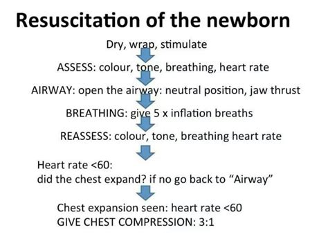 Neonatal Resuscitation Flow Chart Midwifery Pinterest