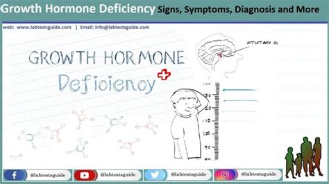 Growth Hormone Deficiency Signs Symptoms Diagnosis And More Lab