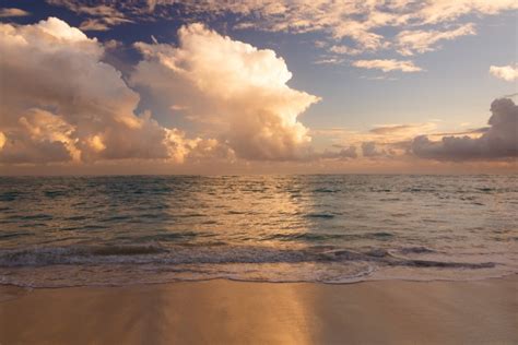 Caribbean Beach In Morning Free Stock Photo Public Domain Pictures