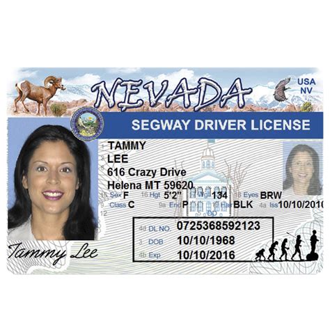 Segway Drivers License Souvenir From Lahaina Maui
