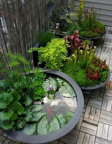 20 Small Water Garden Ideas