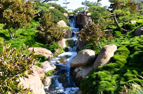 We did not find results for: Discover Lake Balboa: The Japanese Garden "Suiho-en'