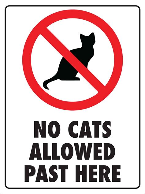 No Cats Allowed Sign