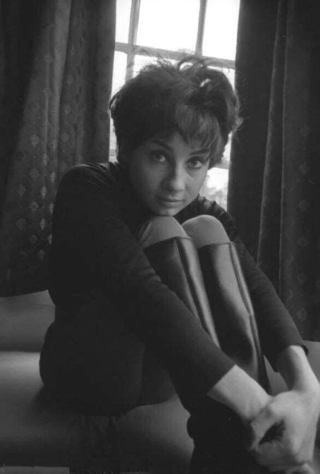 Carole Ann Ford Photos Carole Ann Ford Picture Gallery Famousfix