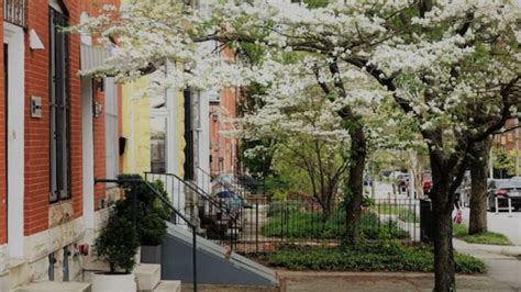 8 Safest Neighborhoods In Baltimore Md Dollarsanity