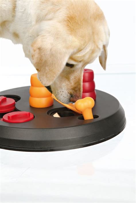 The 9 Best Puzzle Toys That Actually Help Bored Dogs | The Dog People by Rover.com