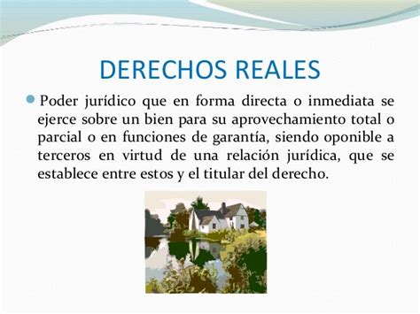 Bienes Y Derechos Reales