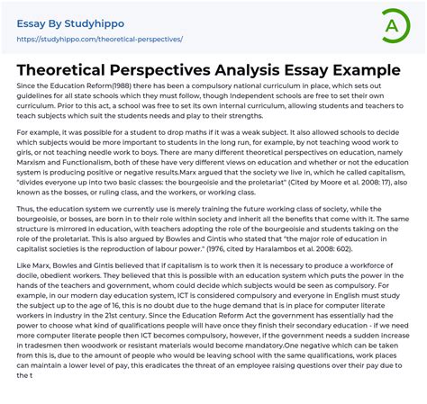 Theoretical Perspectives Analysis Essay Example StudyHippo Com