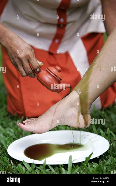 Lka Sri Lanka Siddhalepa Ayurveda Resort Foot Massage Oiling