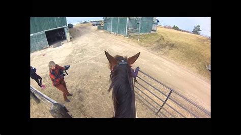 Riding Clyde The Rus Horse Youtube