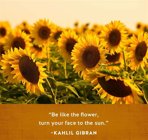 Pin by teri kramer on uplifting quotes | Flowers, Kahlil gibran, Uplifting quotes