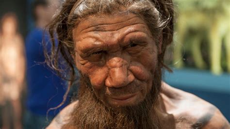 How Did The Last Neanderthals Live 2023
