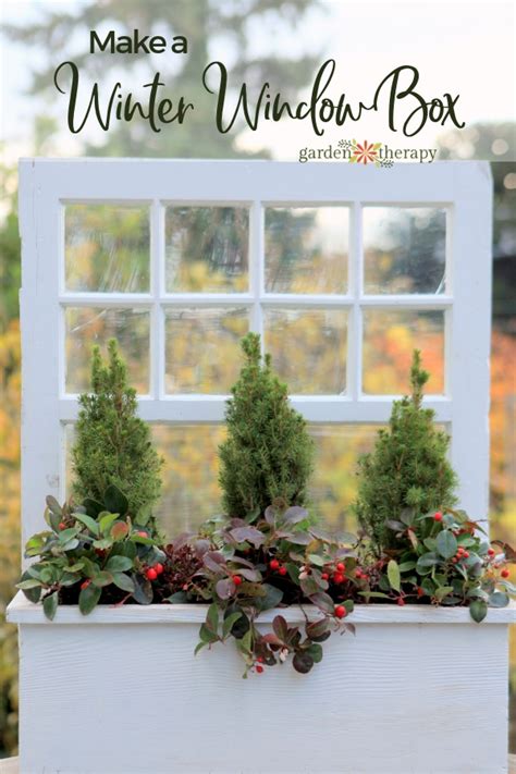 White for brown, blue, or red boxes. A Wonderful Winter Window Box Planter (That You Can Make ...
