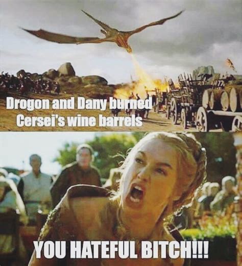 One Of The Few Times I Totally Symathise With Cercei Game Of Thrones
