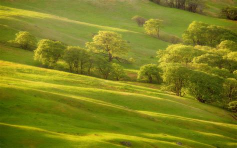 Green Hills Wallpaper WallpaperSafari