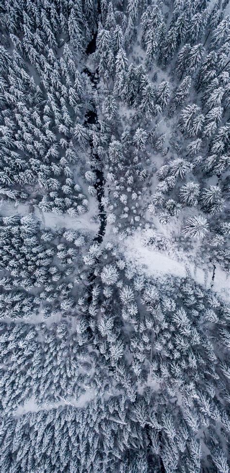 1440x2960 Winter Snowfrost Aerial View Forest Wallpaper Aerial