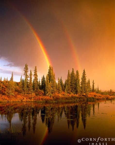 Double Rainbow At Sunset Tundra Pond Denali National Park Alaska