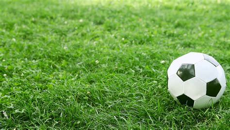 Soccer Ball Rolling On Grass Stock Footage Video 6360152 Shutterstock