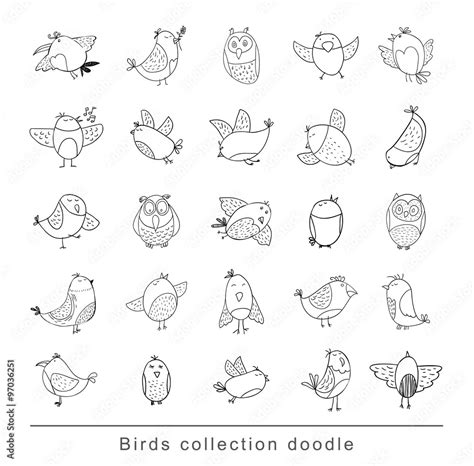 Bird Doodle Set Vector Illustration Stock Vector Adobe Stock