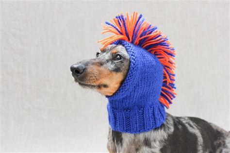Designer Spotlight The Most Creative Knitted Dog Hats And Cosplay