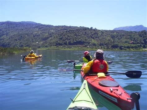 Grow In Patagonia Expediciones Estuario De Reloncaví En Kayak De Mar