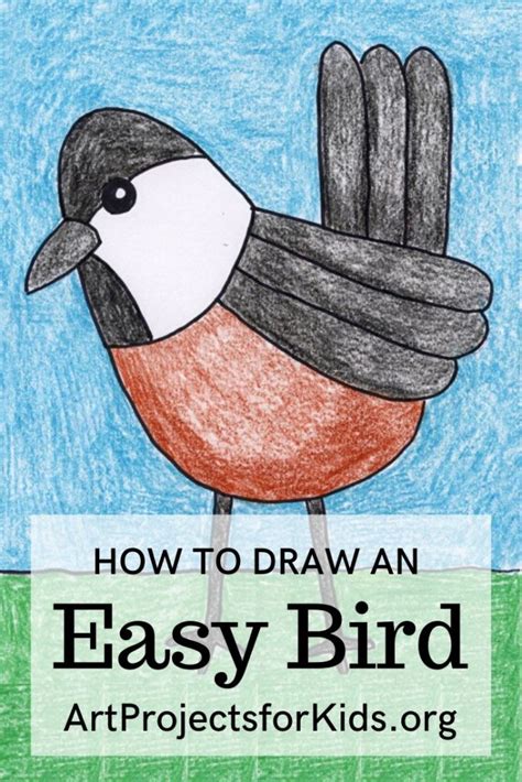 How To Draw A Chickadee · Art Projects For Kids