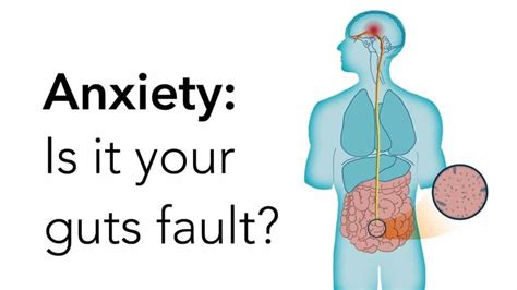 Researchers Explain How Your Gut Bacteria Causes Anxiety According To