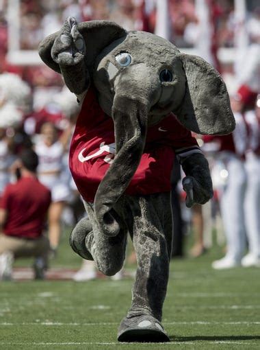 Why Is The Alabama Crimson Tides Mascot An Elephant