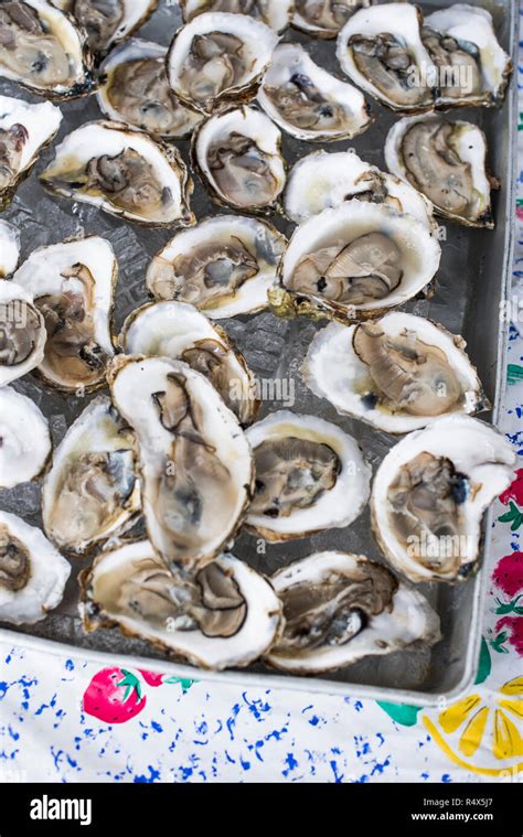 Oysters On The Half Shell Stock Photo Alamy