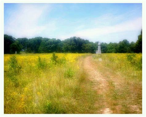 The Wheatfield Gettysburg August 2011 Wheatfield American Civil