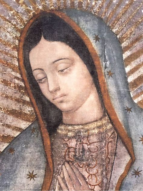 La Historia De La Virgen Telemundo