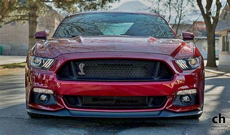 Following the introduction of the fifth generation ford mustang in 2005. 2015 Shelby Mustang GT500 Super Snake Imagined - GTspirit