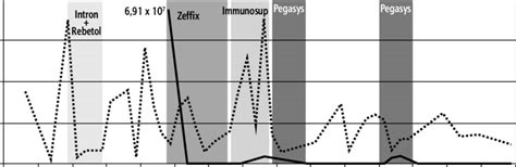 Case 2 Hbv Dna Viral Load And Alanine Aminotransferase Activity During Download Scientific