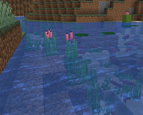 Candles And Seagrass Water Lilies Rminecraft