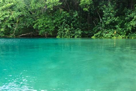 7 Places In Jamaica That Will Make You Want To Visit The World Up Closer