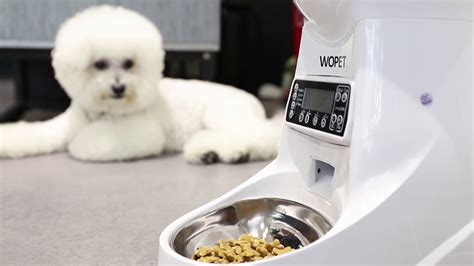 How To Use Wopet 3l Automatic Pet Feeder Youtube